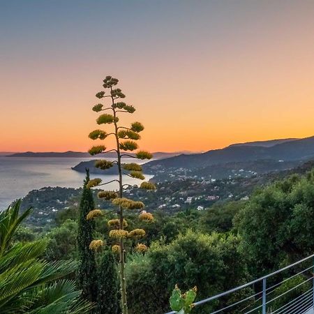 Vistazur Luxueux Appartement Avec Terrasse Et Piscine Райоль-Канадель-сюр-Мер Экстерьер фото
